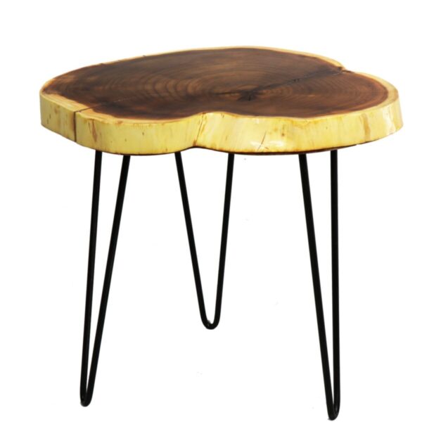 Doğal Masif Kütük Ahşap Dekoratif Orta Sehpa-salon Cafe Otel