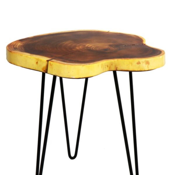 Doğal Masif Kütük Ahşap Dekoratif Orta Sehpa