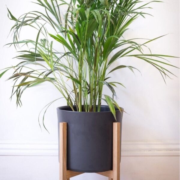 Ahşap Ayaklı Çiçek Standı Saksılık 50 cm